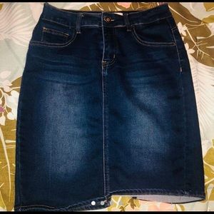 Classic Denim Knee-Length Skirt